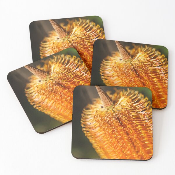 Item preview, Golden Spiral in Natures Banksia designed and sold by Joy Watson - Natural Light Photography .