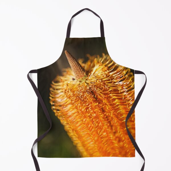 Item preview, Golden Spiral in Natures Banksia designed and sold by Joy Watson - Natural Light Photography .