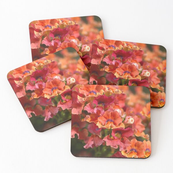 Item preview, Spring Vibrant Flowers in Sunlight designed and sold by Joy Watson - Natural Light Photography .