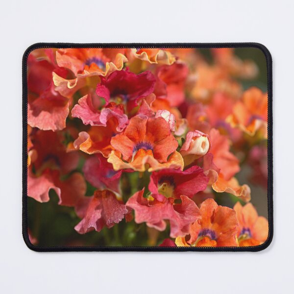 Item preview, Spring Vibrant Flowers in Sunlight designed and sold by Joy Watson - Natural Light Photography .