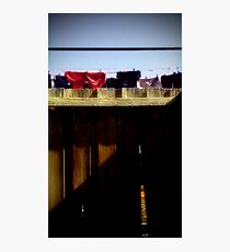 Over the back fence... another day, another load Photographic Print