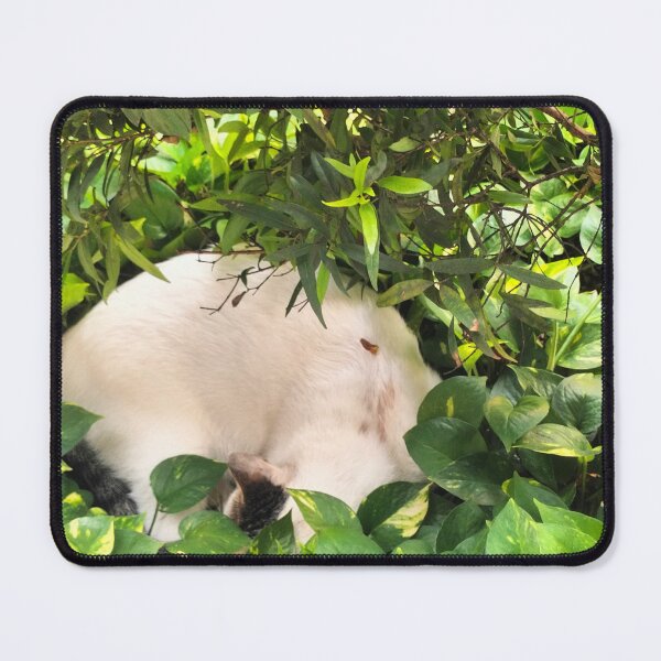 Item preview, Cat in leaves and nature designed and sold by ArtSaicho.