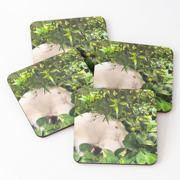 Item preview, Cat in leaves and nature designed and sold by ArtSaicho.