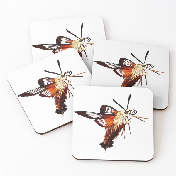 Item preview, Hummingbird Hawk Moth (Transparent) designed and sold by Metamorphmigus.