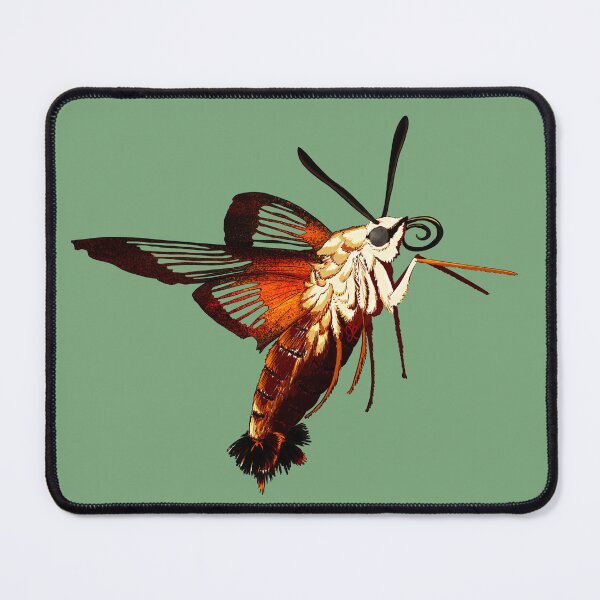 Item preview, Hummingbird Hawk Moth (Transparent) designed and sold by Metamorphmigus.
