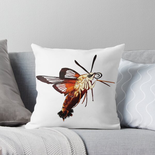Item preview, Hummingbird Hawk Moth (Transparent) designed and sold by Metamorphmigus.