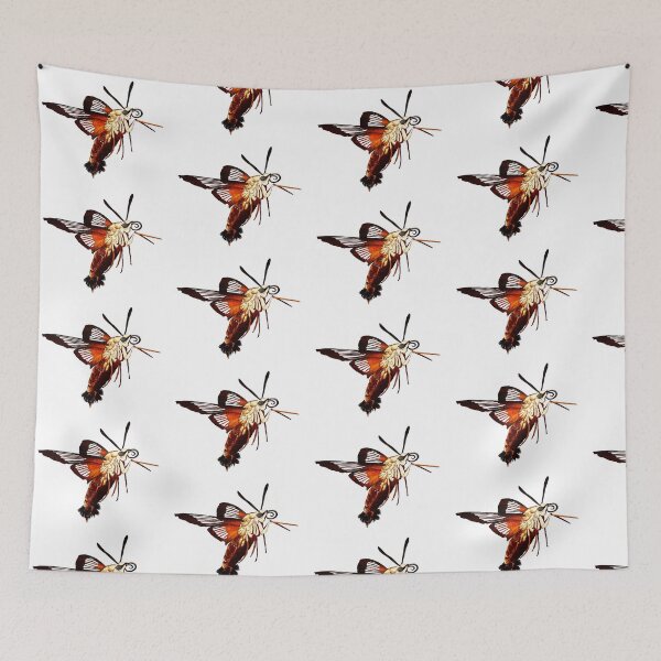 Item preview, Hummingbird Hawk Moth (Transparent) designed and sold by Metamorphmigus.