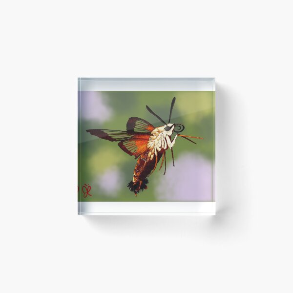 Item preview, Hummingbird Hawk Moth designed and sold by Metamorphmigus.