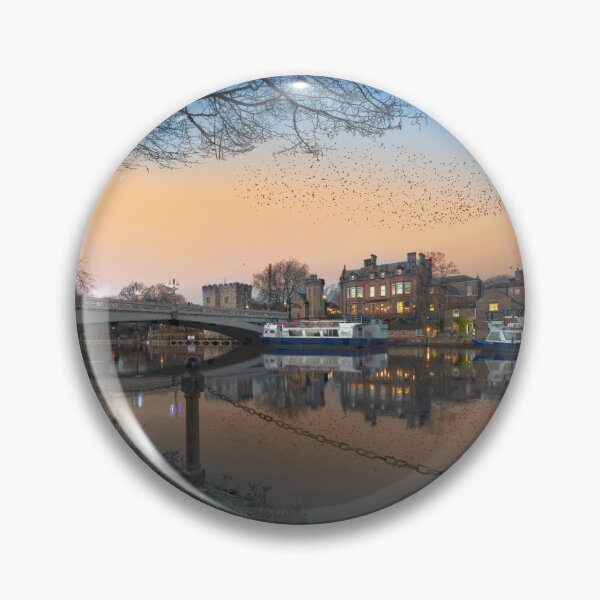 Item preview, York Starlings designed and sold by Alisonchambers2.