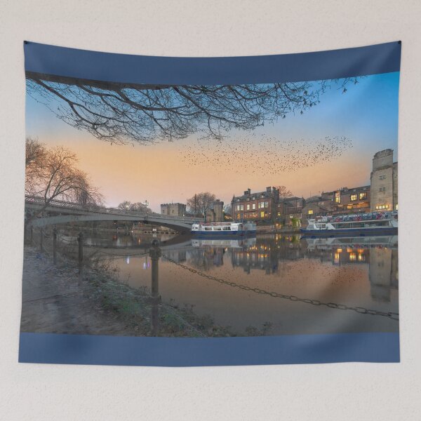 Item preview, York Starlings designed and sold by Alisonchambers2.