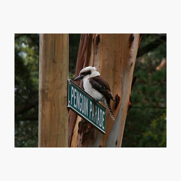Item preview, "Penguins," he laughed designed and sold by Anne van Alkemade.