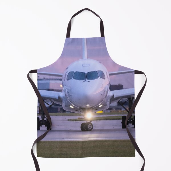 Item preview, Air France Airbus A220 F-HPNI MAN to CDG designed and sold by Skyframe Aviation.