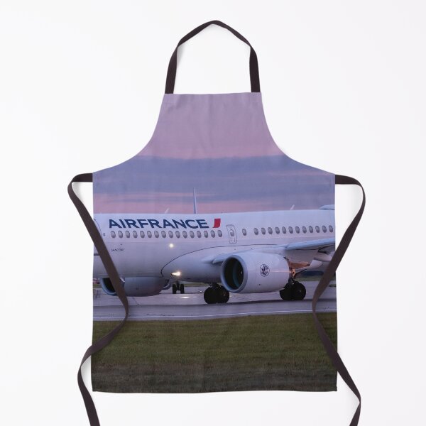 Item preview, Air France Airbus A220 F-HPNI MAN to CDG designed and sold by Skyframe Aviation.