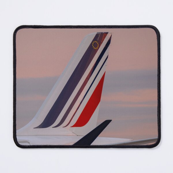 Item preview, Air France Airbus A220 F-HPNI MAN to CDG designed and sold by Skyframe Aviation.