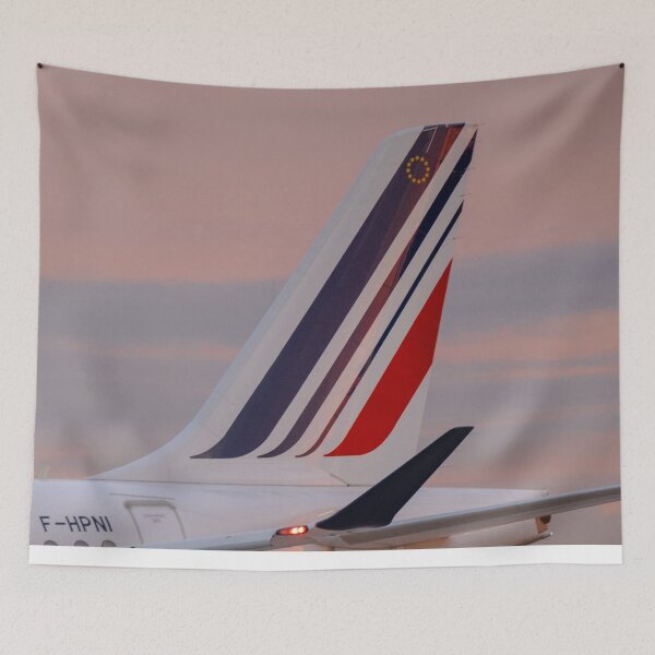 Item preview, Air France Airbus A220 F-HPNI MAN to CDG designed and sold by Skyframe Aviation.