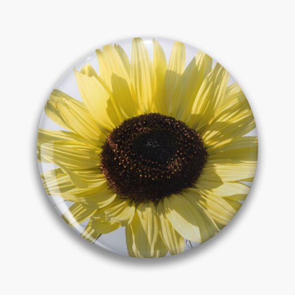 Item preview, Radiant Pale Yellow Sunflower Against the Sky designed and sold by Georgia Mizuleva.