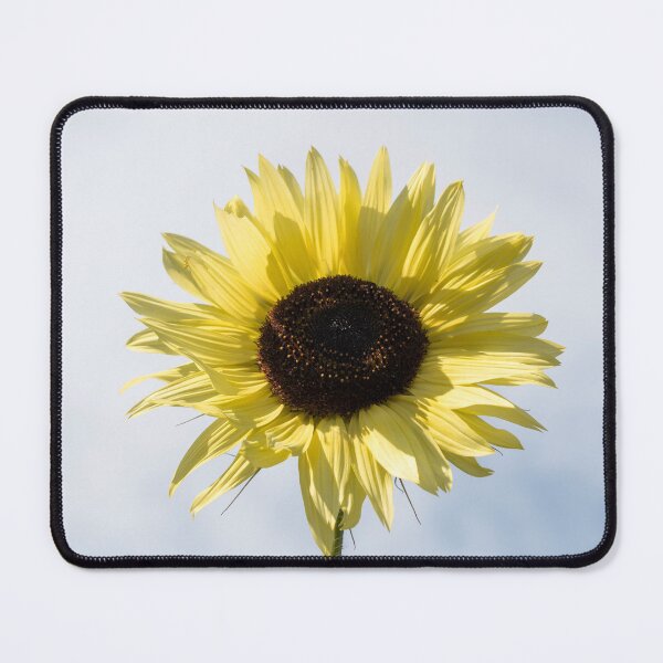 Item preview, Radiant Pale Yellow Sunflower Against the Sky designed and sold by Georgia Mizuleva.