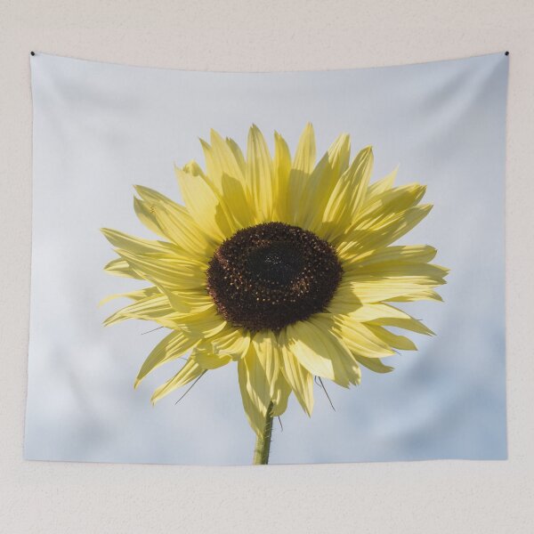 Item preview, Radiant Pale Yellow Sunflower Against the Sky designed and sold by Georgia Mizuleva.