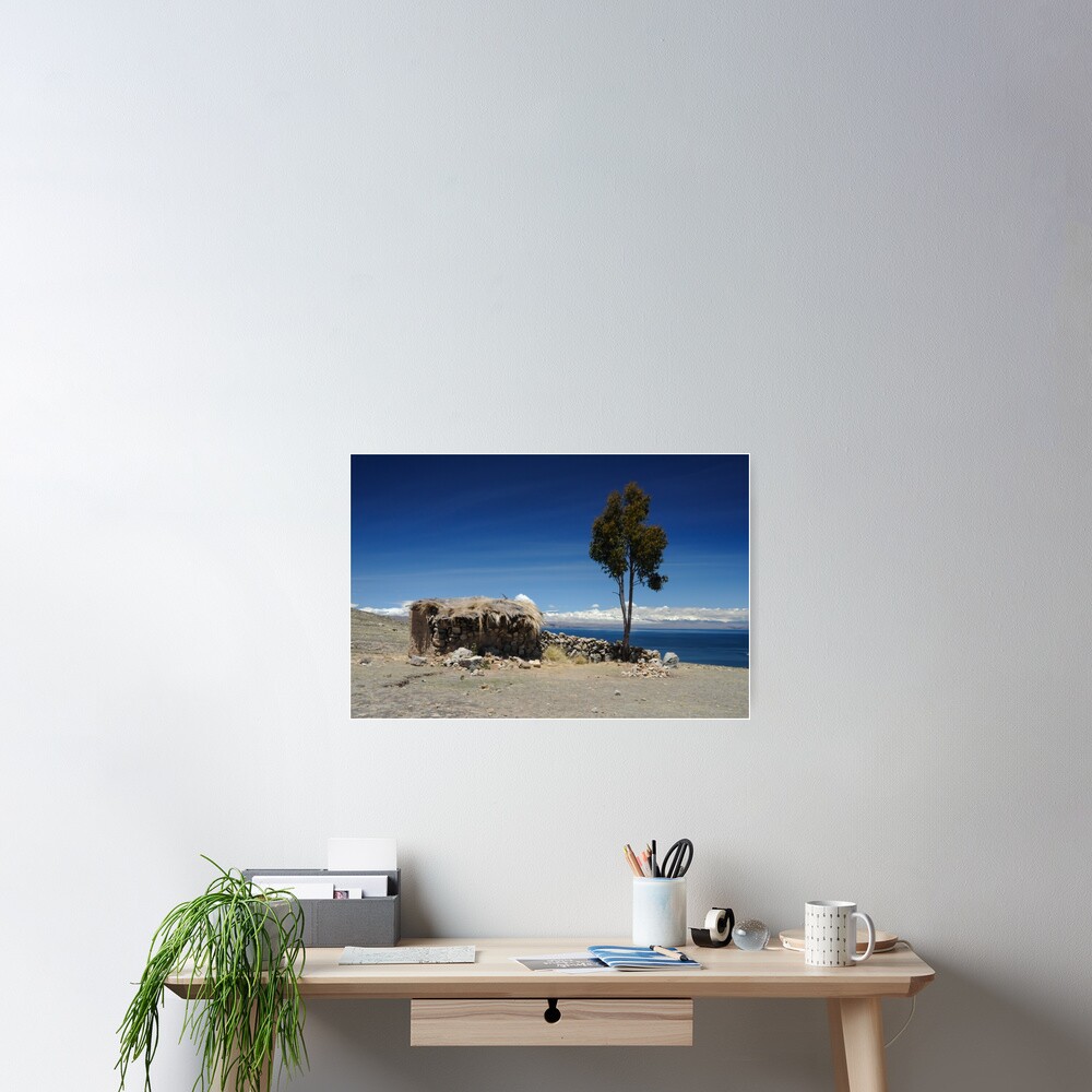 Room with a View Poster