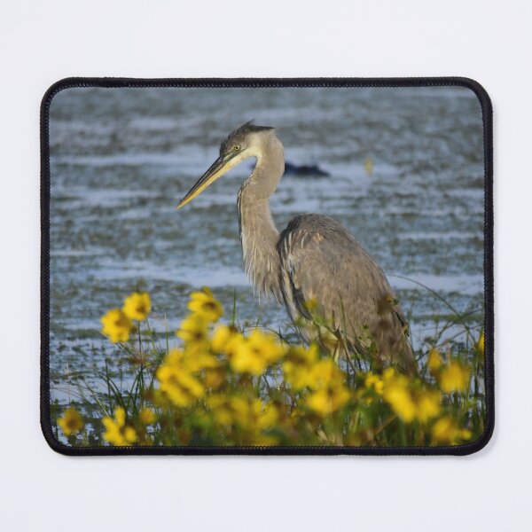 Item preview, Heron Among Yellow Flowers designed and sold by MercerImages.