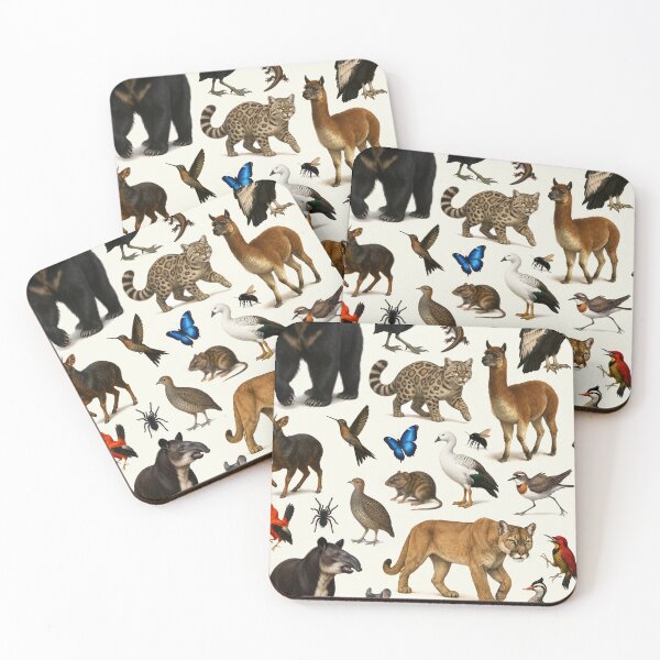 Item preview, Animals of the Andes Retro Wildlife Illustration Chart designed and sold by kakarikihill.