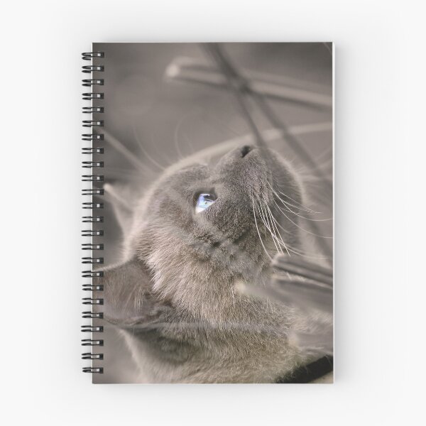 Item preview, Searching designed and sold by Siene Browne.