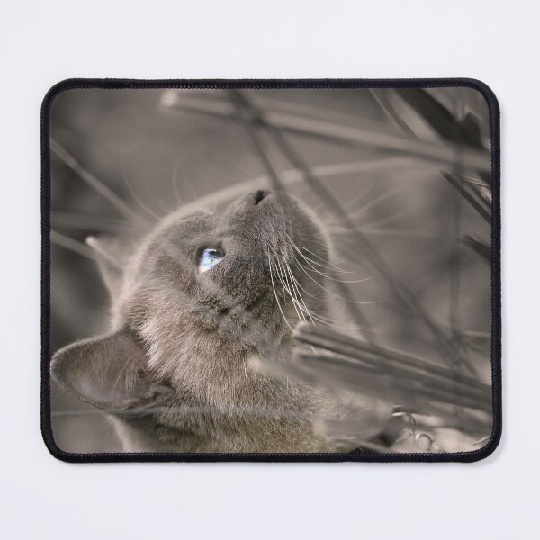 Item preview, Searching designed and sold by Siene Browne.