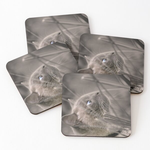 Item preview, Searching designed and sold by Siene Browne.