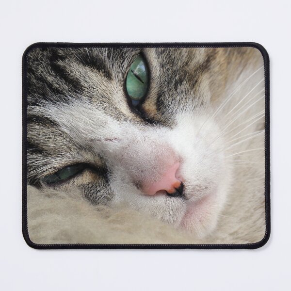 Item preview, Bobby the Cat Mid-Snooze designed and sold by Siene Browne.