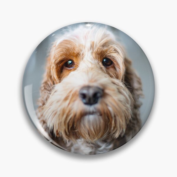 Item preview, Spoodle designed and sold by Andrew Felton.
