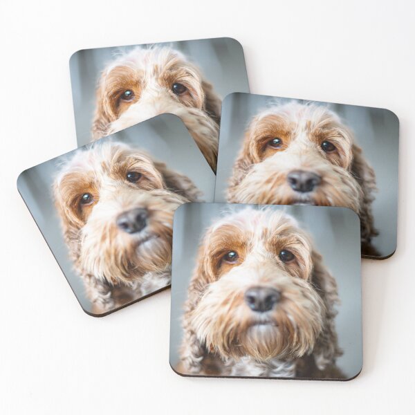 Item preview, Spoodle designed and sold by Andrew Felton.