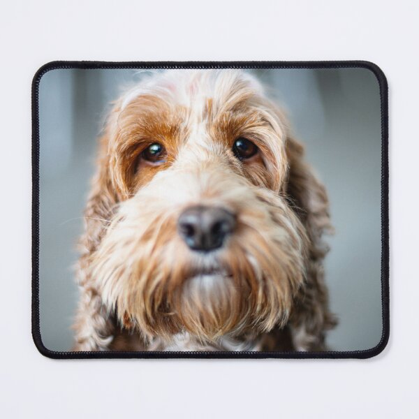Item preview, Spoodle designed and sold by Andrew Felton.