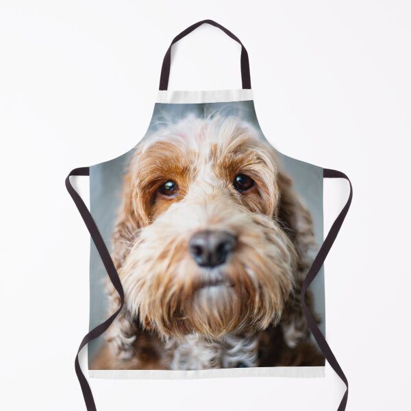 Item preview, Spoodle designed and sold by Andrew Felton.