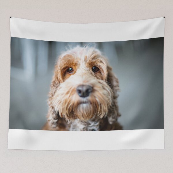 Item preview, Spoodle designed and sold by Andrew Felton.
