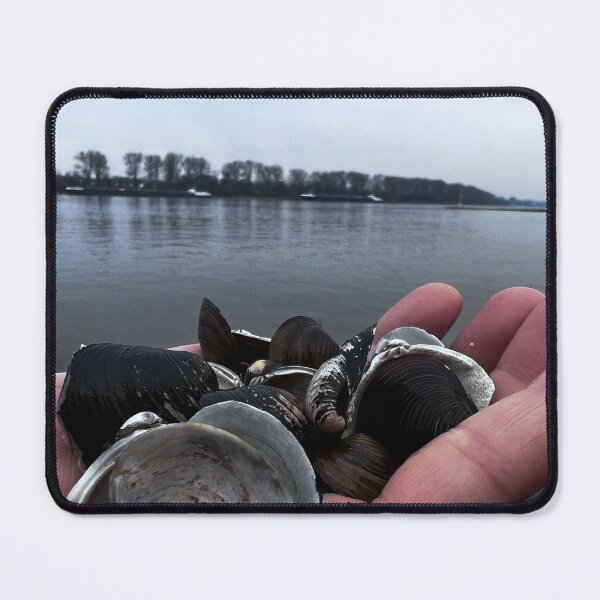 Item preview, „Muschel am Strand – Sonnenuntergangszauber“ : „Seashell on the Beach – Sunset Magic“ designed and sold by Yaroplanner.