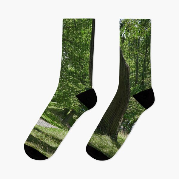 Item preview, Hatanpaa Arboretum 2026 number 1 designed and sold by Jouko Lehto Photography.