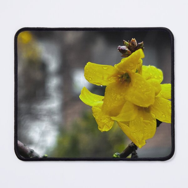 Item preview, „Gelbe Blumen in der Natur – Fröhliche Farben“ : „Yellow Flowers in Nature – Cheerful Colors“ designed and sold by Yaroplanner.
