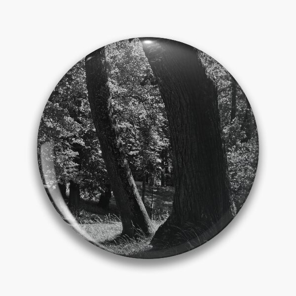 Item preview, Hatanpaa Arboretum 2026 number 1 bw designed and sold by Jouko Lehto Photography.