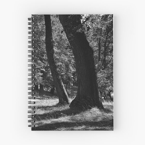 Item preview, Hatanpaa Arboretum 2026 number 1 bw designed and sold by Jouko Lehto Photography.