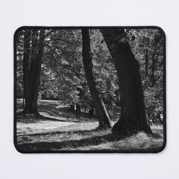 Item preview, Hatanpaa Arboretum 2026 number 1 bw designed and sold by Jouko Lehto Photography.
