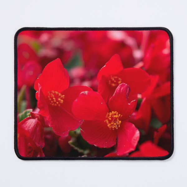 Item preview, All red. Red Florencio designed and sold by Jouko Lehto Photography.