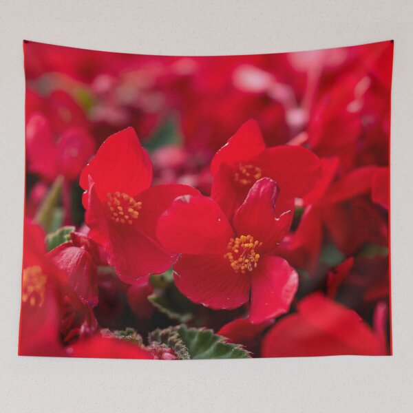 Item preview, All red. Red Florencio designed and sold by Jouko Lehto Photography.