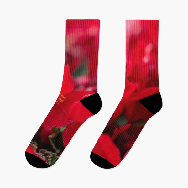 Item preview, All red. Red Florencio designed and sold by Jouko Lehto Photography.