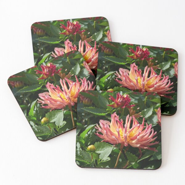 Item preview, Dahlia Labella Maggiore Fun Fire number 1 designed and sold by Jouko Lehto Photography.