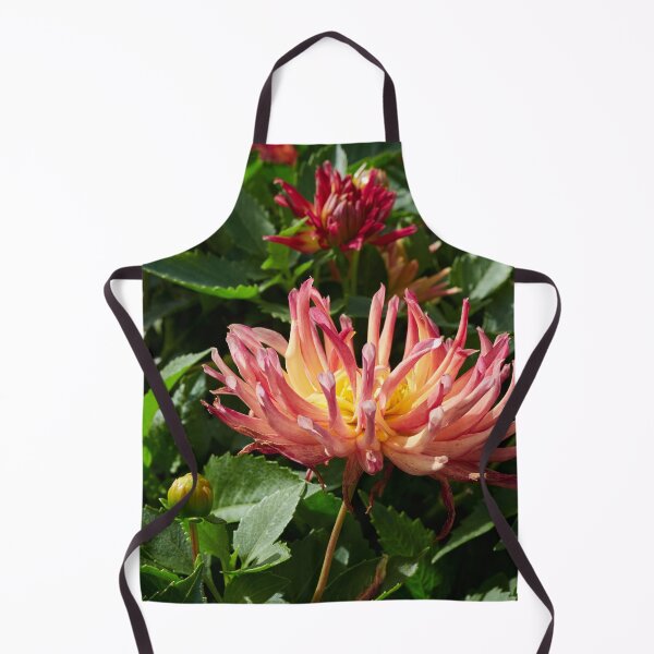 Item preview, Dahlia Labella Maggiore Fun Fire number 1 designed and sold by Jouko Lehto Photography.
