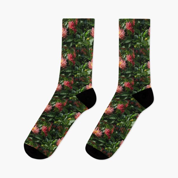 Item preview, Dahlia Labella Maggiore Fun Fire number 1 designed and sold by Jouko Lehto Photography.