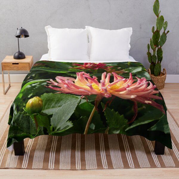 Item preview, Dahlia Labella Maggiore Fun Fire number 1 designed and sold by Jouko Lehto Photography.