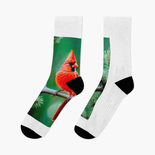 Item preview, Northern Red Cardinal  designed and sold by purelightimages.