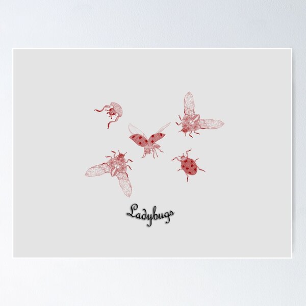 Item preview, Red Ladybugs Line Art Illustration designed and sold by Koszenila.