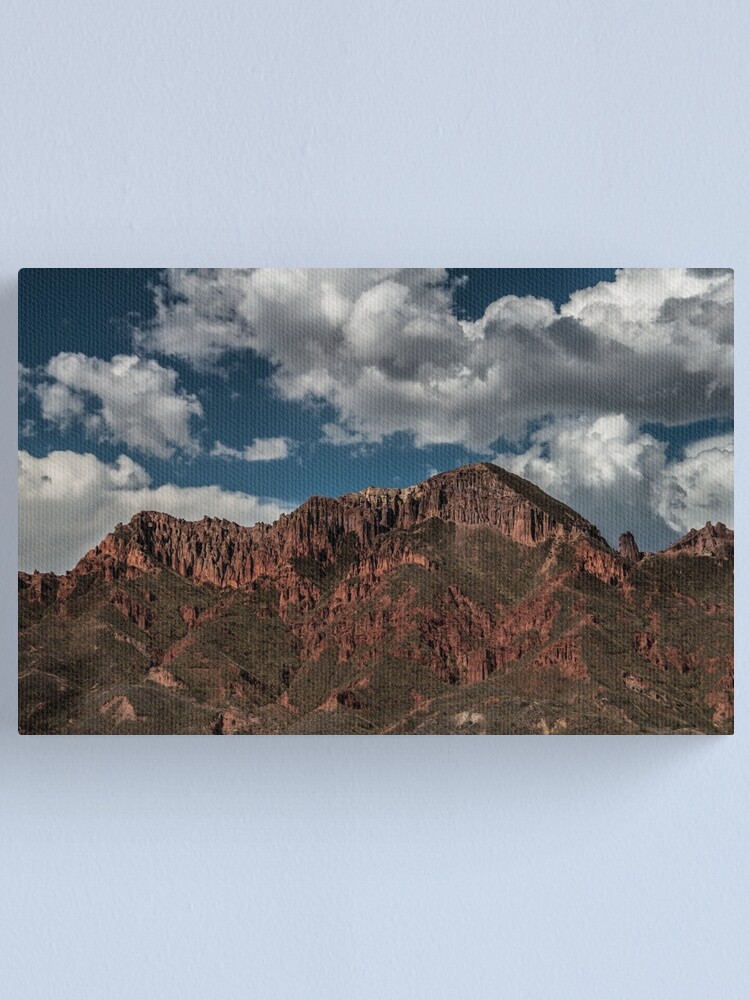 Alternate view of Untitled Canvas Print